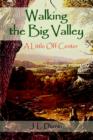 Walking the Big Valley : A Little Off Center - Book
