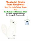 Wonderful Stories From Skog Forest Near The Little Yellow House Volume 2 : Mr. KNutsen Makes A Plan - Book