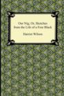 Our Nig; Or, Sketches from the Life of a Free Black - Book