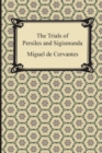 The Trials of Persiles and Sigismunda - Book