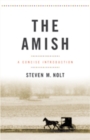 The Amish : A Concise Introduction - Book
