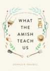 What the Amish Teach Us : Plain Living in a Busy World - Book
