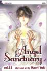 Angel Sanctuary, Vol. 11 - Book