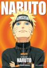 Naruto Illustration Book - Book