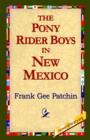 The Pony Rider Boys in New Mexico - Book