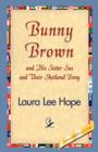 Bunny Brown and His Sister Sue and Their Shetland Pony - Book