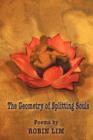 The Geometry of Splitting Souls - Book