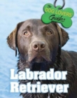 Labrador Retriever - Book