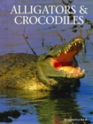 Alligators and Crocodiles - Book