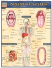 Digestive System - eBook