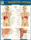 Anatomy of the Digestive System : QuickStudy Reference Guide - eBook