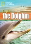 A Dolphin Named Cupid : Footprint Reading Library 1600 - Book