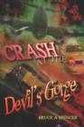 Crash at the Devil's Gorge - Book
