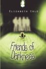 Friends of Darkness - Book