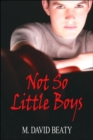 Not So Little Boys - Book