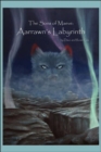 The Sons of Maeve : Aarrawn's Labyrinth - Book