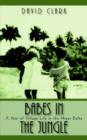 Babes In The Jungle : A Year of Village Life in the Niger Delta - Book