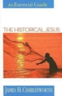 The Historical Jesus : An Essential Guide - eBook