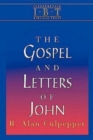 The Gospel and Letters of John : Interpreting Biblical Texts Series - eBook