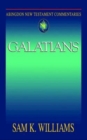 Abingdon New Testament Commentaries: Galatians - eBook