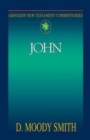 Abingdon New Testament Commentaries: John - eBook