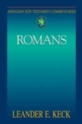 Abingdon New Testament Commentaries: Romans - eBook