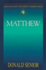 Abingdon New Testament Commentaries: Matthew - eBook