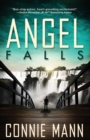 Angel Falls - Book