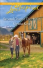 Second Chance Courtship - eBook