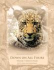 Down on All Fours : African Tales - Book