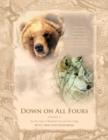 Down on All Fours : Bear Paw Stories & Woodland Voices and Other Callings - Book