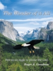 The Wonder of It All - eBook