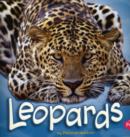 Leopards - Book