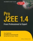 Pro J2EE 1.4: From Professional to Expert - eBook