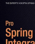 Pro Spring Integration - eBook