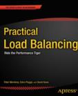 Practical Load Balancing : Ride the Performance Tiger - eBook