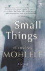 Small things : A novel - Book