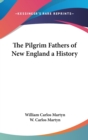 The Pilgrim Fathers of New England a History - Book