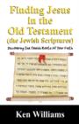 Finding Jesus in the Old Testament (the Jewish Scriptures) : Discovering the Jewish Roots of Your Faith - Book