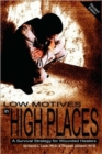 Low Motives in High Places : A Survival Strategy for Wounded Healers - Book