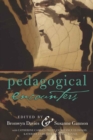 Pedagogical Encounters - Book