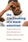 The (Re-)Making of a Black American : Tracing the Racial and Ethnic Socialization of Caribbean American Youth - Book