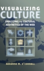 Visualizing Culture : Analyzing the Cultural Aesthetics of the Web - Book