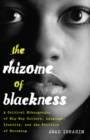 The Rhizome of Blackness : A Critical Ethnography of Hip-Hop Culture, Language, Identity, and the Politics of Becoming - Book