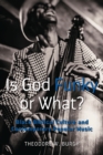 Is God Funky or What? : Black Biblical Culture and Contemporary Popular Music - Book