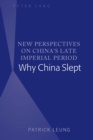 New Perspectives on China's Late Imperial Period : Why China Slept - eBook