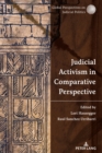 Judicial Activism in Comparative Perspective - Book