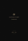 ESV Expository Commentary : John–Acts (Volume 9) - Book