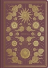 ESV Illuminated Scripture Journal : Joshua (Paperback) - Book