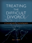 Treating the Difficult Divorce : A Practical Guide for Psychotherapists - Book